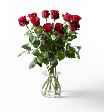 10 langstilkete røde roser